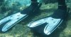 upload_2015-4-26_17-6-21.jpeg
