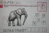 image.jpeg