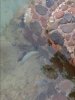 20140505_085706.jpg