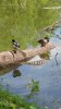 20150514_133709.jpg